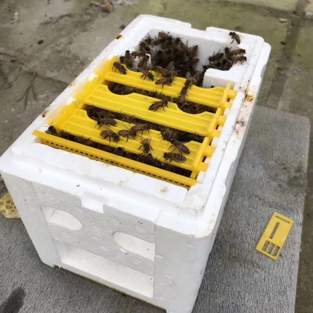 Пчела опыления коробка пчеловодства случае оборудования дома приспособления для улья Сад Урожай коробка AUG-24C