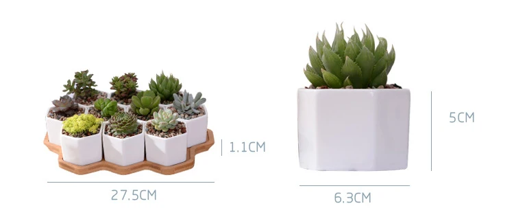 3814377023_675057837