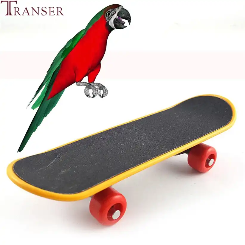 Transer Pet Abastecimento Aves Brinquedos Jogando Acrobacias Cockatie Periquito Papagaio Pássaro Skate 80403