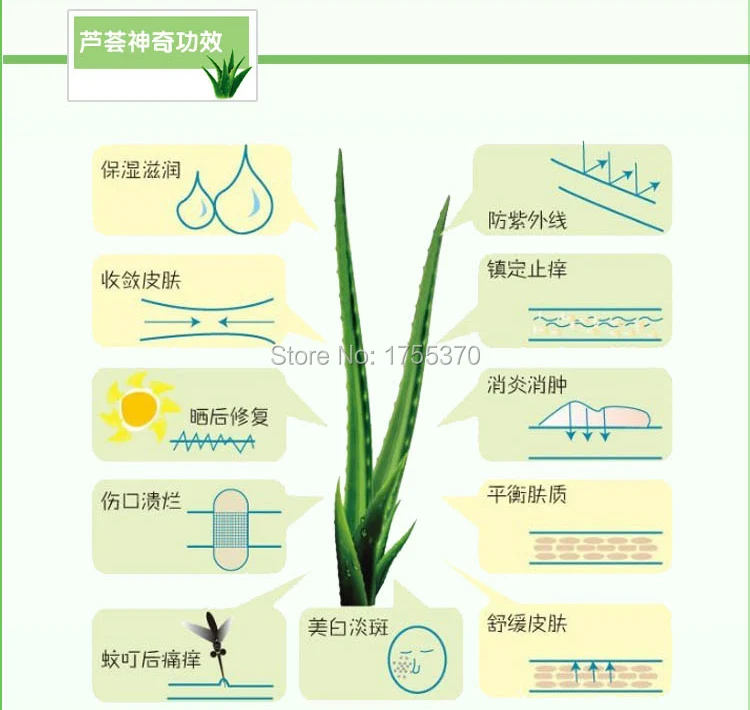 Murah Aloe Vera Gel Anti Jerawat Pelembab anti inflamasi Anti Gigitan Nyamuk Kerusakan Kulit Perbaikan Beli Aloe Vera Gel Anti Jerawat Pelembab anti inflamasi Anti Gigitan Nyamuk Kerusakan Kulit Perbaikan