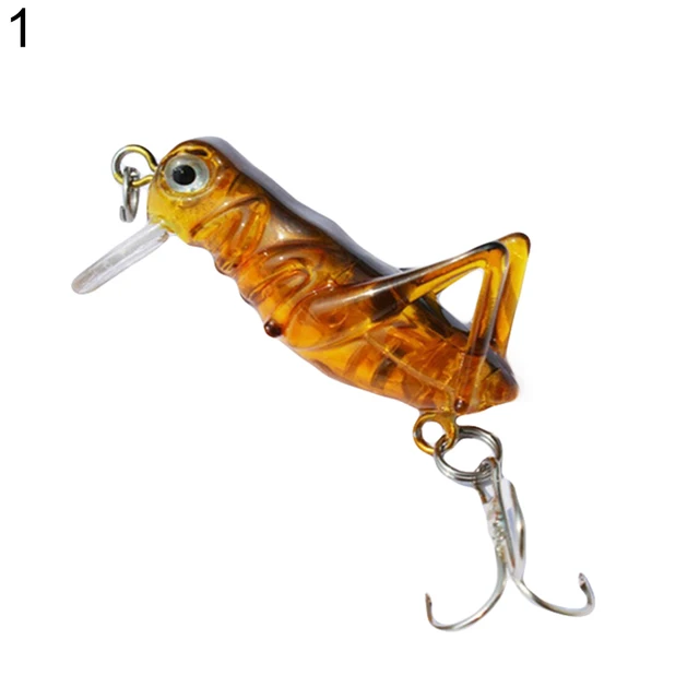 New Grasshopper Insect Lifelike Fishing Lure Tackle Luminous Hard  Artificial Bait - AliExpress