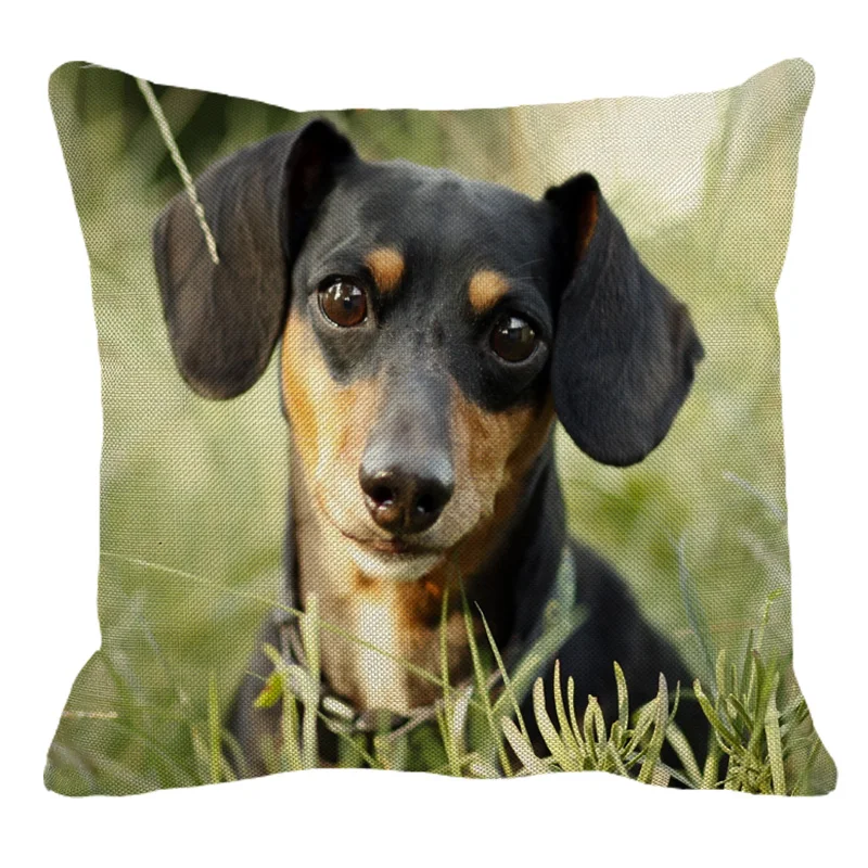 

XUNYU Dachshund Print Linen Pilllowcase Home Sofa Square Cushion cover Animal Dog Pattern Pillow cover AC103