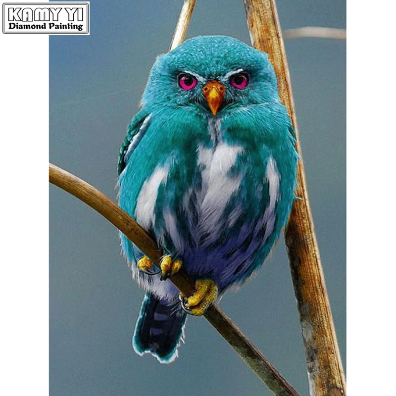 f988cb544d07d9e731669b7fabde33e9--beautiful-owl-beautiful-pictures