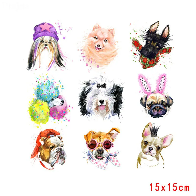 cute dogs