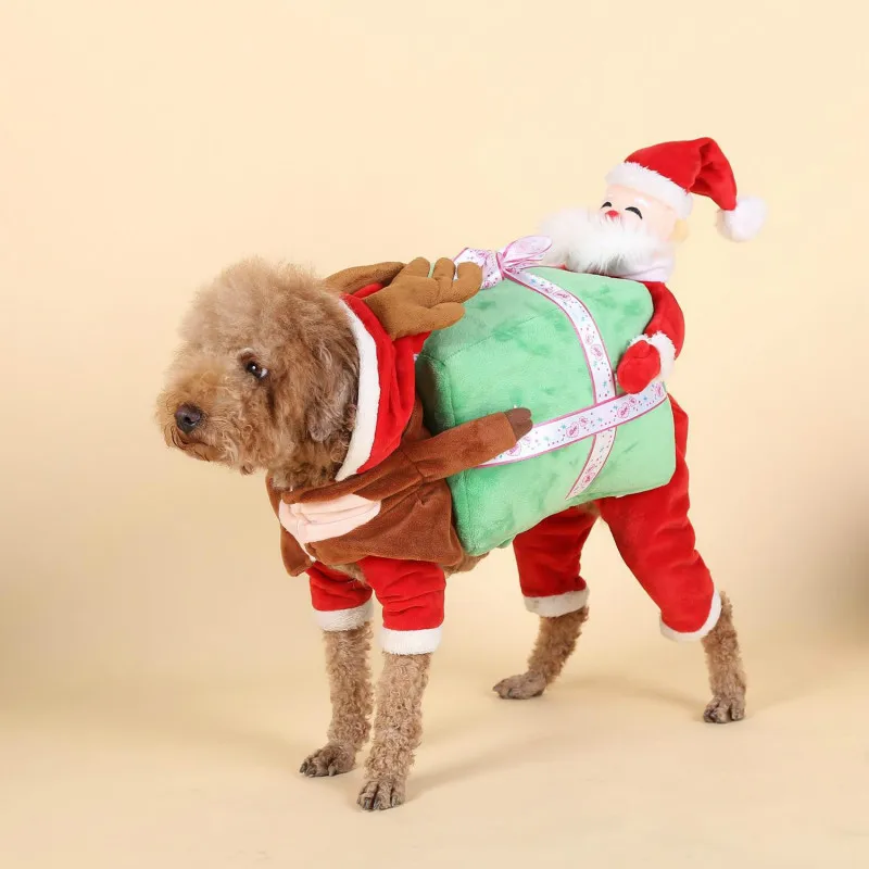 puppy christmas clothes