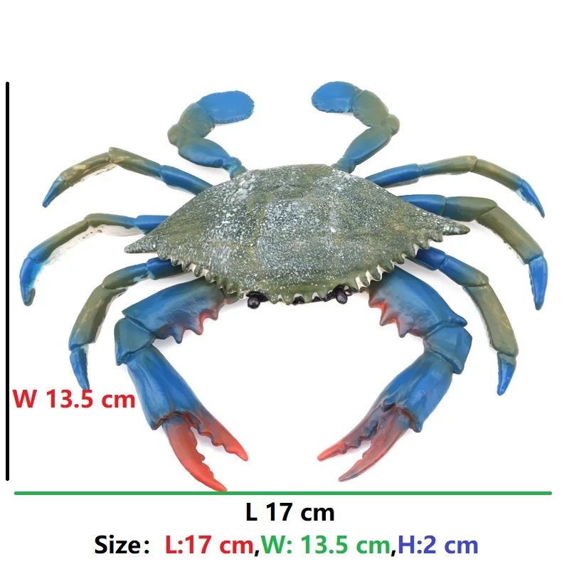 Настоящий Краб искусственные модели образование моделирование крабы модель мультфильм лето мыть игрушки морской жизни ванная комната игр