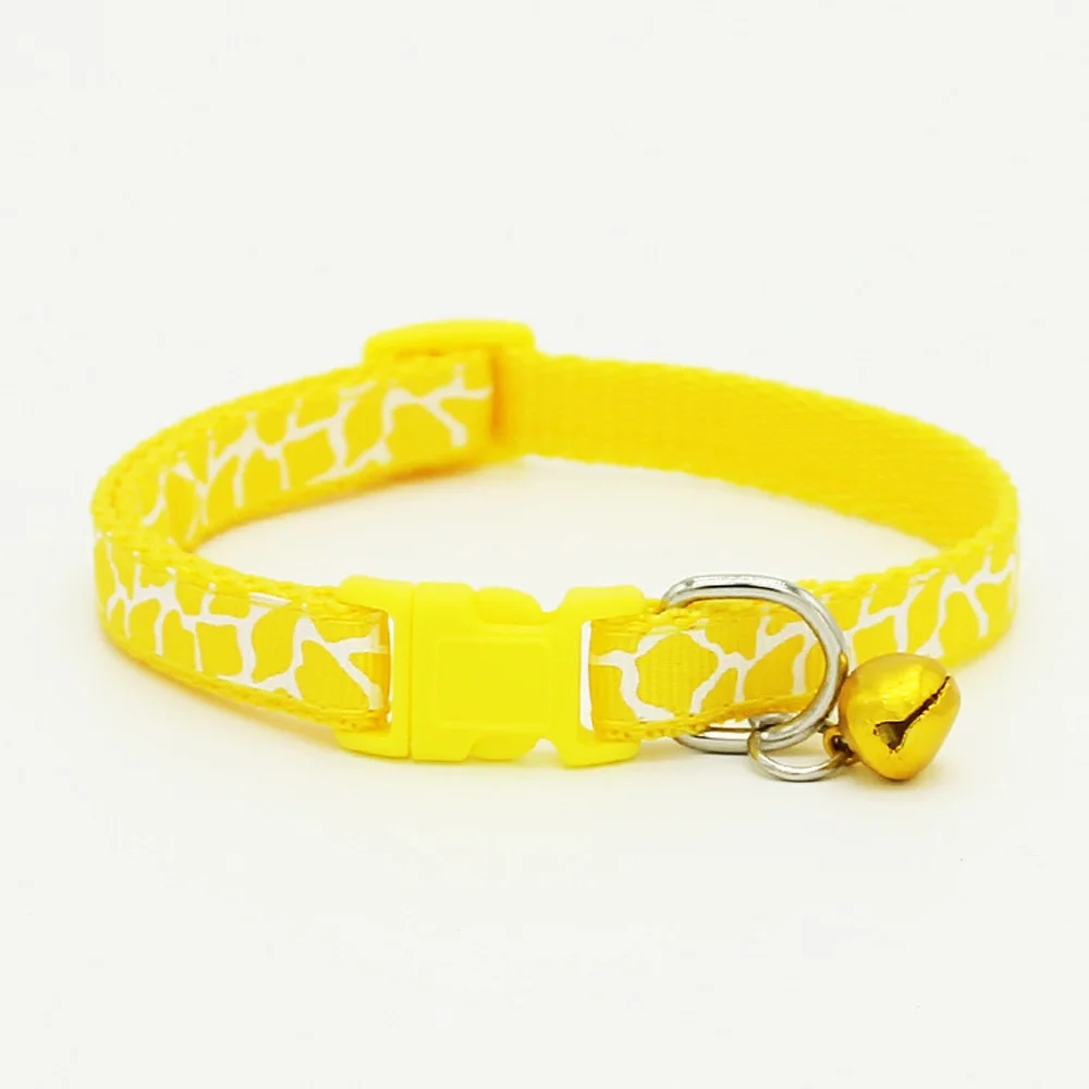 3237818058_1295703088