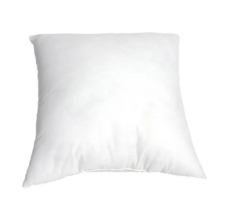 pillow core05