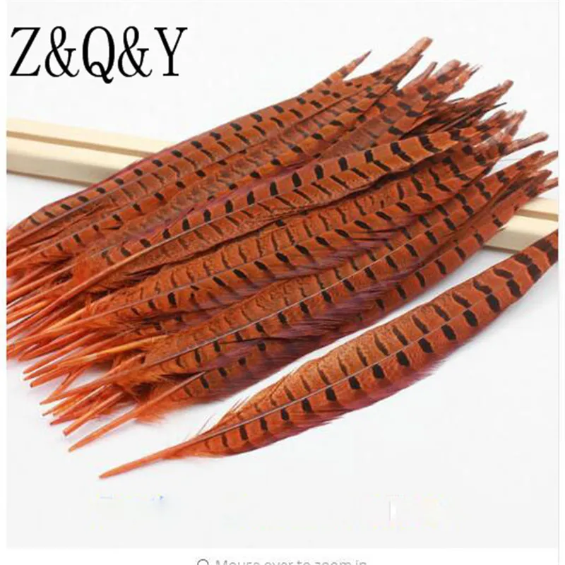 

Z & Q & Y Natural High Quality 100 35-40 (14-16 inch) Dyed Orange Pheasant Feathers DIY Feathered Costumes Holiday Party