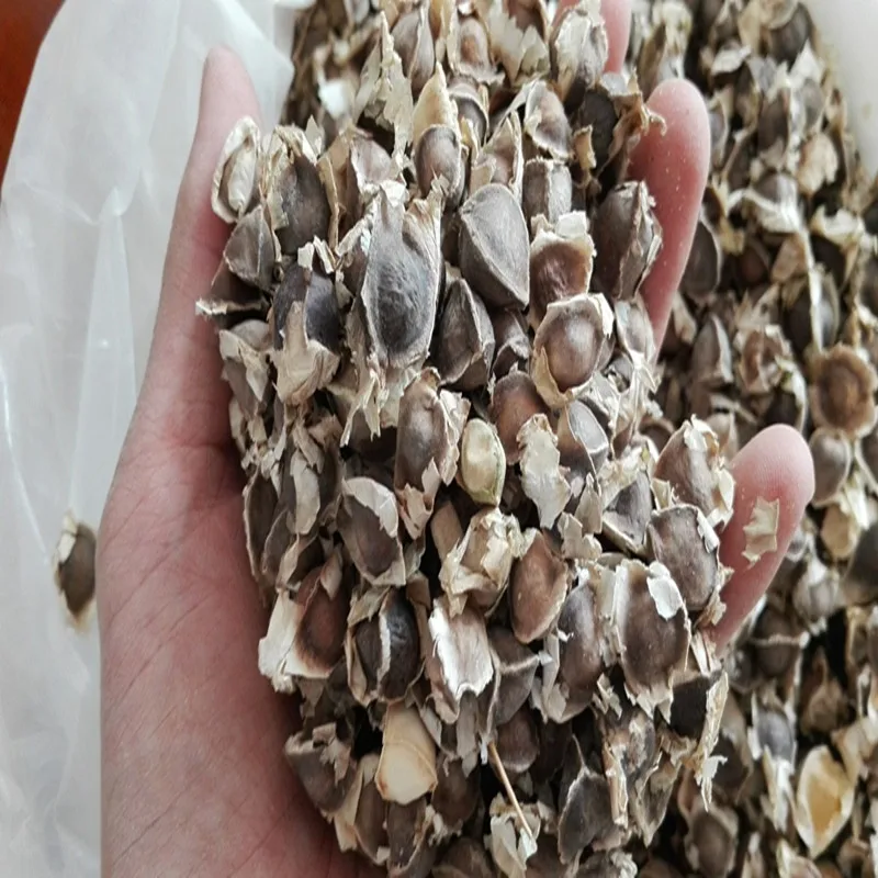 100 шт.-1000 шт. высококачественные натуральные семена из органической Моринги индийские дикие семена Моринги, увеличенная энергия