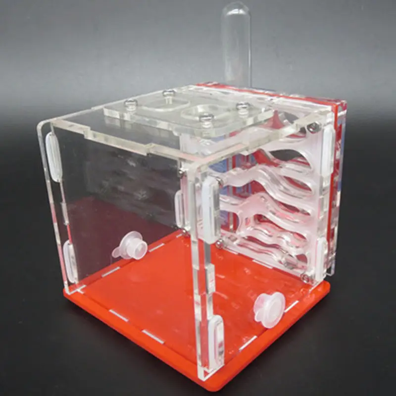 Муравьи фермы 3 цвета Акриловые муравьиные гнезда корпус Formicarium для муравьиная колония жизни DIY Забавные насекомые муравьиные гнезда 8x8x14,8 см