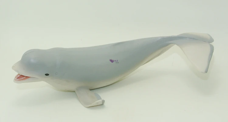 PL127-4113