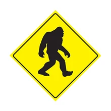 Дорожный сигнал