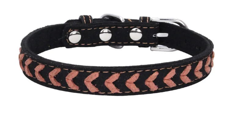 dog collars (12)