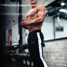 Alphalete, мужские повседневные брюки для пробежек, фитнес, мужская спортивная одежда, спортивный костюм, штаны, обтягивающие спортивные штаны, спортивные штаны, спортивные штаны