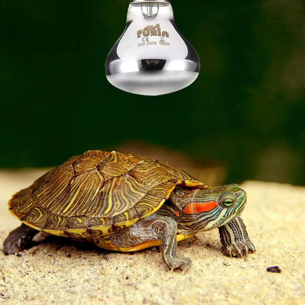25/50/75/100W Mini Reptile Daylight Lamp Thermal Light Lamp for Snakes