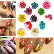 1 Набор для украшения ногтей маленький высушенный цветок аксессуары для самостоятельного маникюра для женщин леди SSwell