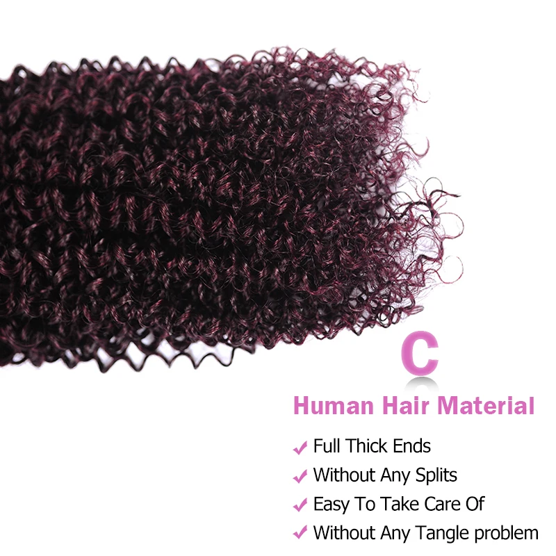 Grape Purple Peruvian Hair 3 Bundles With Closure Ombre Burgundy Human Hair Kinky Curly Bundles With Closure Non Remy Pinshair Grape Purple Peruvian Hair 3 Bundles With Closure Ombre Burgundy Human Hair Kinky Curly Bundles With Closure Non Remy Pinshair