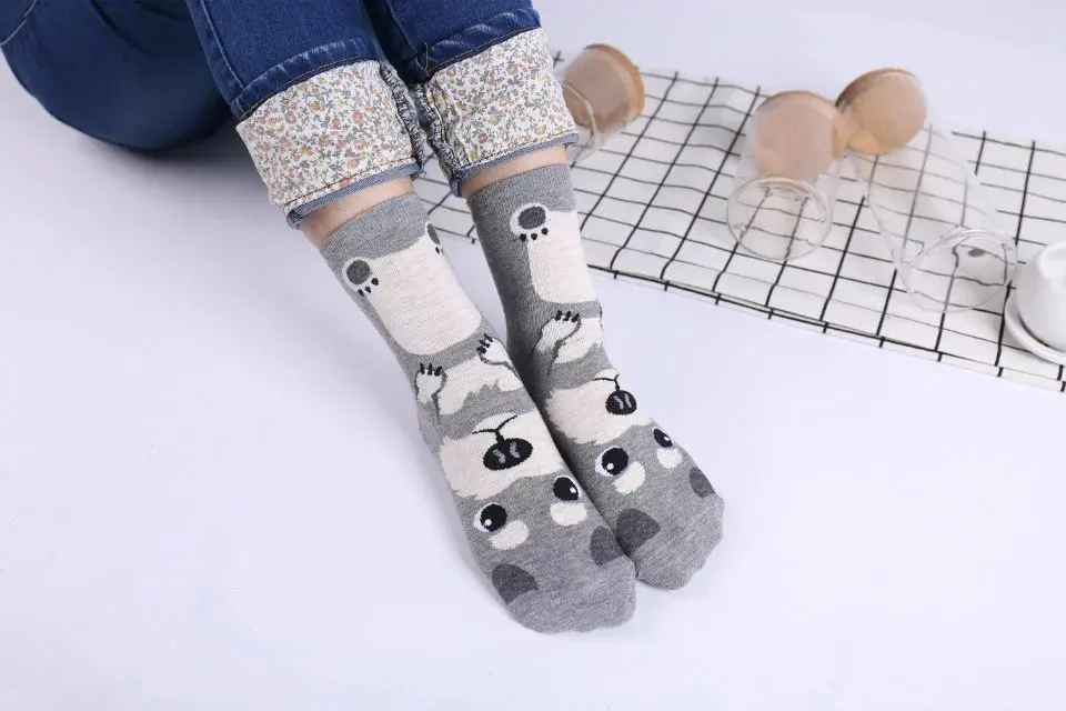 4528629335_297019652