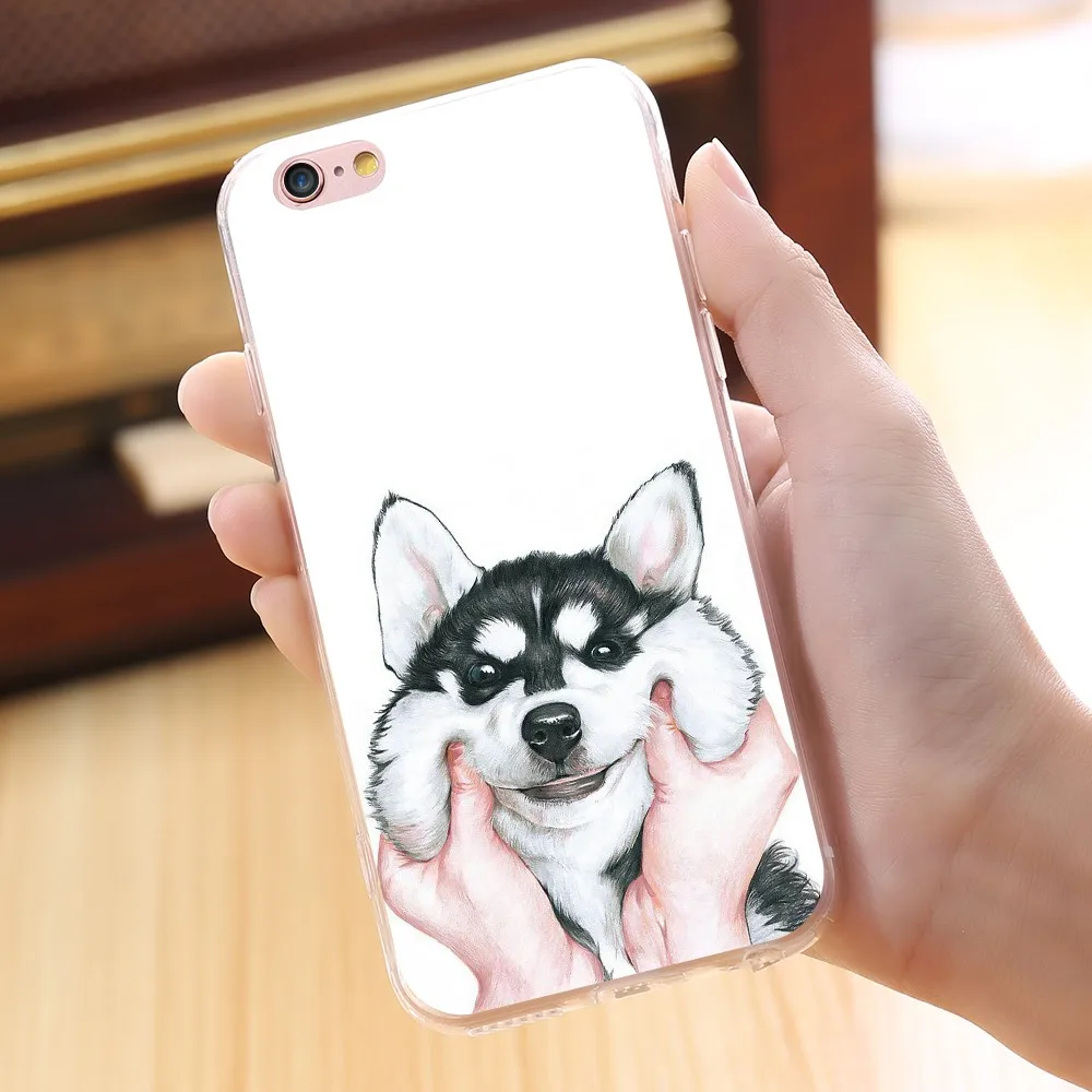 dog case (10)