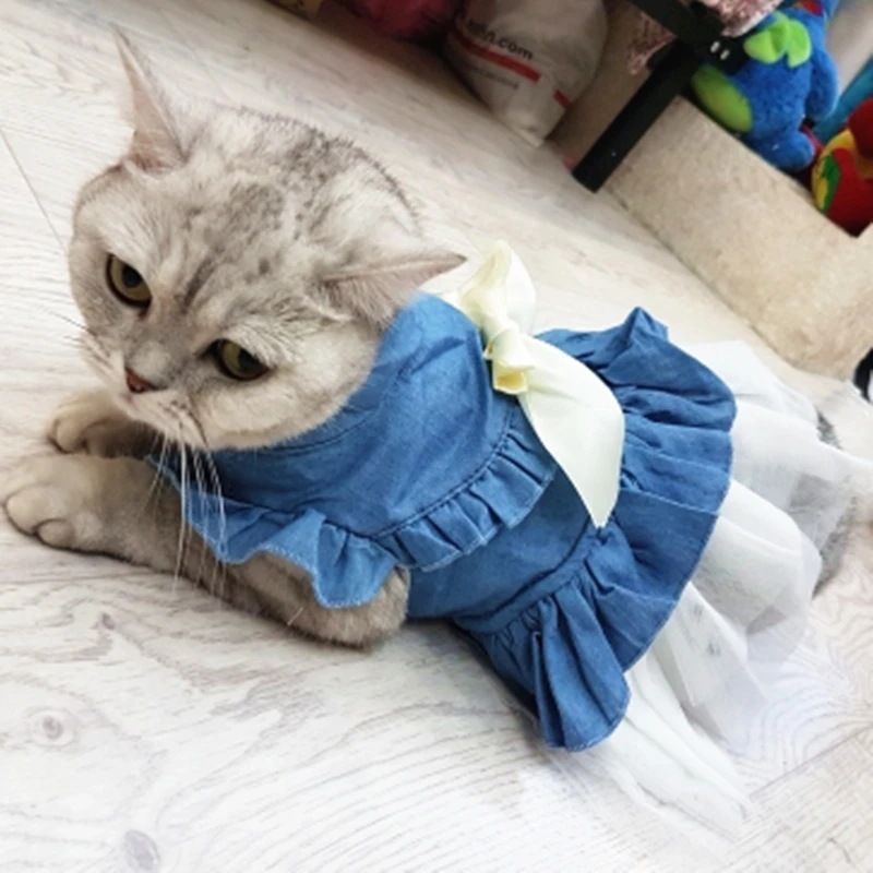 

Spring Summer Denim Cat Clothes for Cats Fashion Cat Coat Jacket Warm Outfits Lovely Pet Cat Clothing 11a30Q