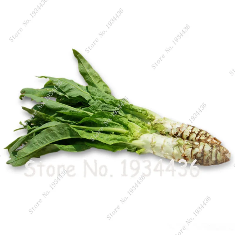 

Green Asparagus, Asparagus Organic Asparagus 20/bag Chinese Vegetable Home Garden Plants