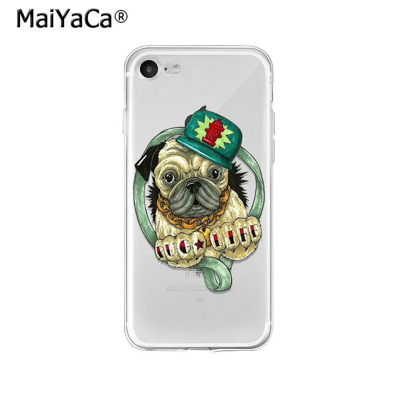 Pet Dog Pug puppy