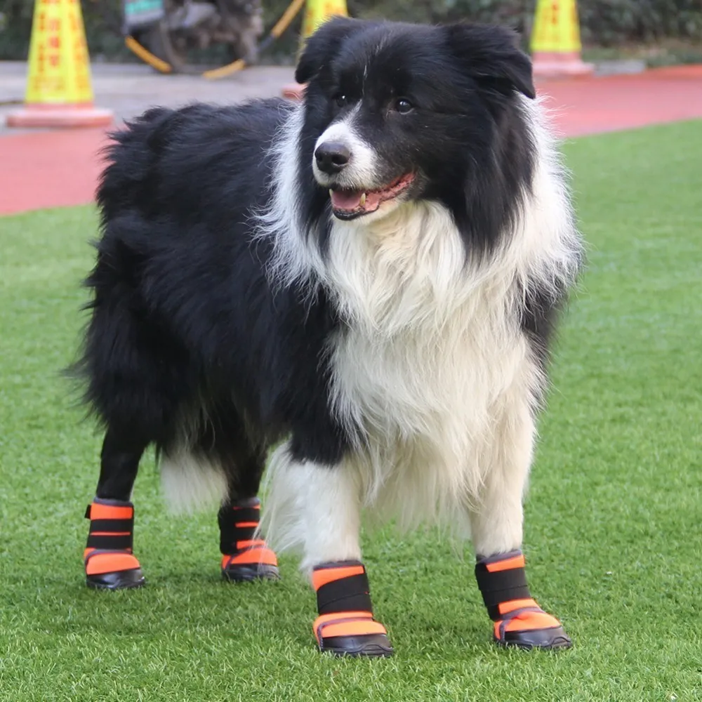 Кроссовки для собак, маленькие, средние, большие размеры, уличные спортивные ботинки для собак, водонепроницаемые скалолазание, Нескользящие ботинки для собак