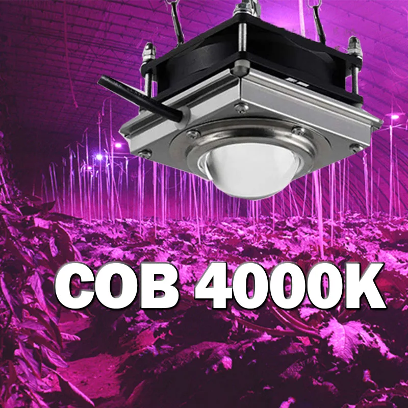 

Grow Tent Light COB LED 150W Indoor Lamp For Plants Phyto Lamp Full Spectrum Grow Box Room Greenhouse Lights For Indoor Plants