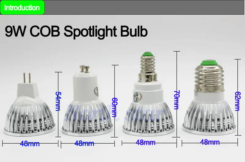 Cob spotlight 22