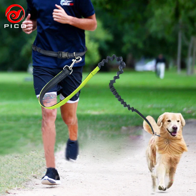 High Quality 190*2.5cm Elastic Pet Dog Walking Lead Running Leash Puppy