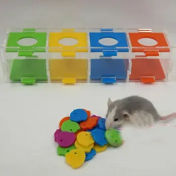 

Chipmunk puzzle training intelligence development toy, color separation coin box, pet toy