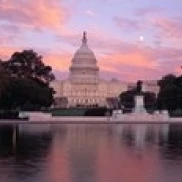 US Capitol Washington DC Poster Print (36 x 12)