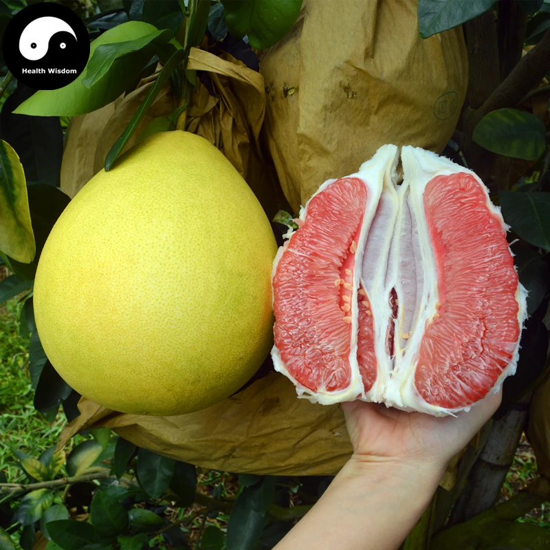 Buy Grapefruit Tree Seeds 50pcs Plant Citrus Maxima For Grapefruit