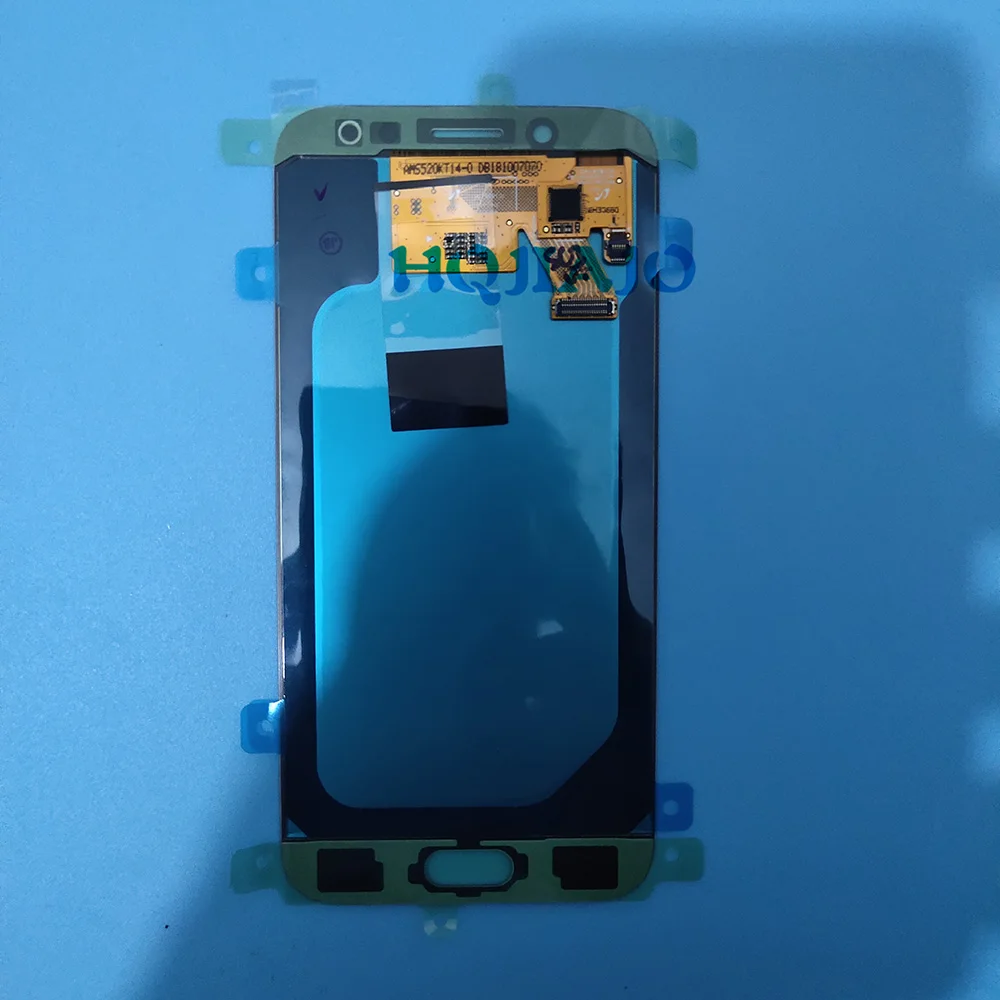 B1