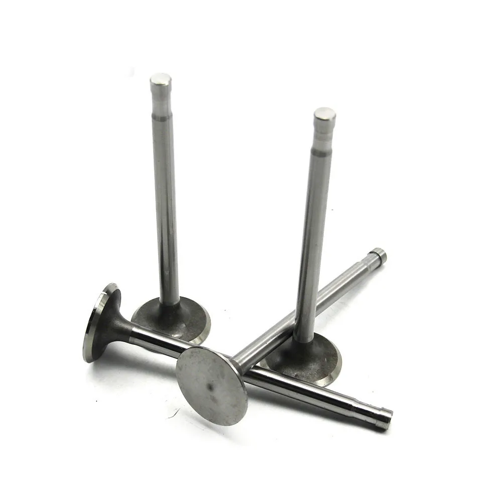 Intake and exhaust valve 24HP 2