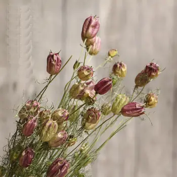 

8~10Pcs/lot Home Decor Dried Flower Bouquet Natural Dried Flowers Wedding Party Decorative Photography Props