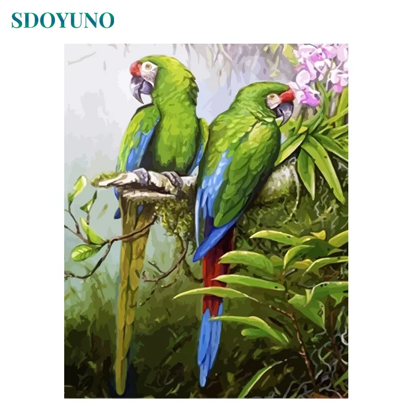 SDOYUNO 60X75 см рамка цветная Летающая картина с попугаем по номерам DIY краски по номерам для взрослых Настенный декор холст краски ing - Цвет: 1276