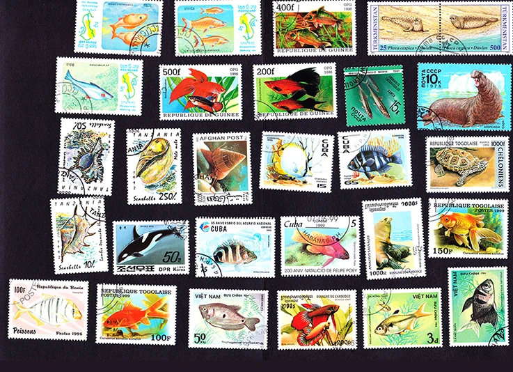 O1CN01KeoDei21ZaYJVYN55_!!136196999