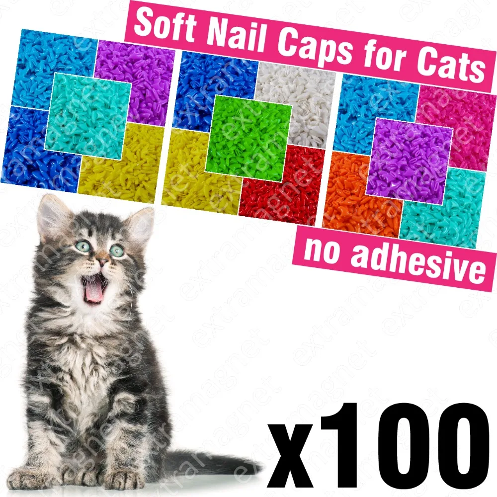 aliexpress-extramagnet-cat-100-201704