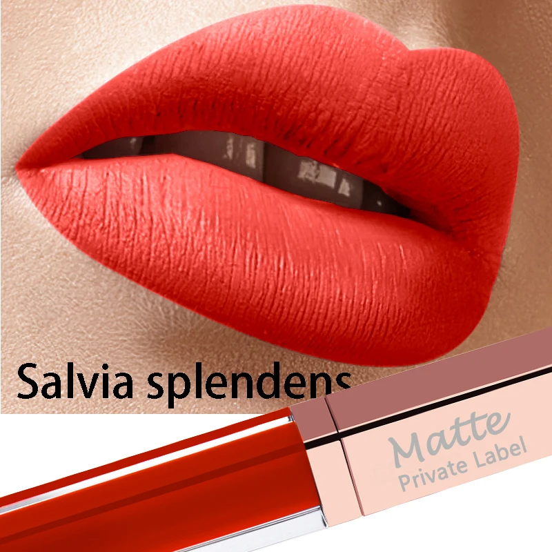 

best selling 2018 ultra matte lipstick Matte Lip Makeup Cream Lip Gloss