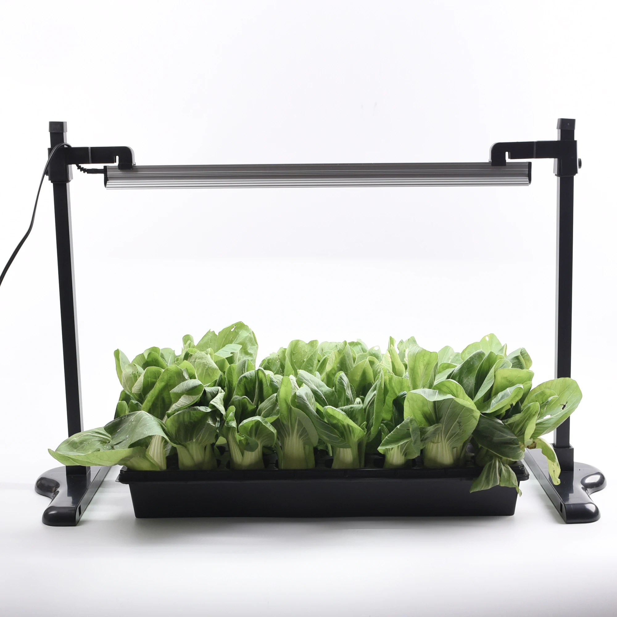 

Universal Stand House greenhouse led light garden LED Grow Light