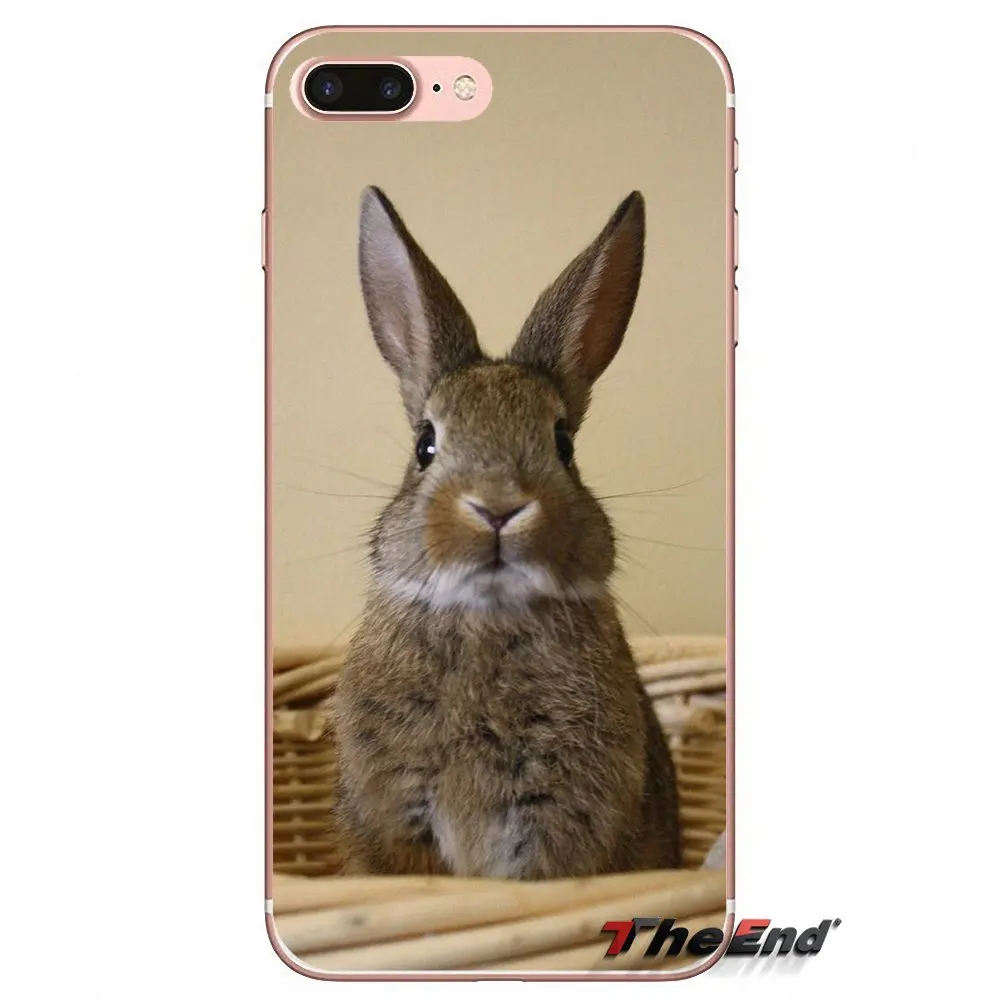 Мягкий ТПУ чехол для мобильного телефона Love Rabbit Samsung Galaxy J1 J2 J3 J5 J7 A3 A5 A7 2015 2016 2017 J530