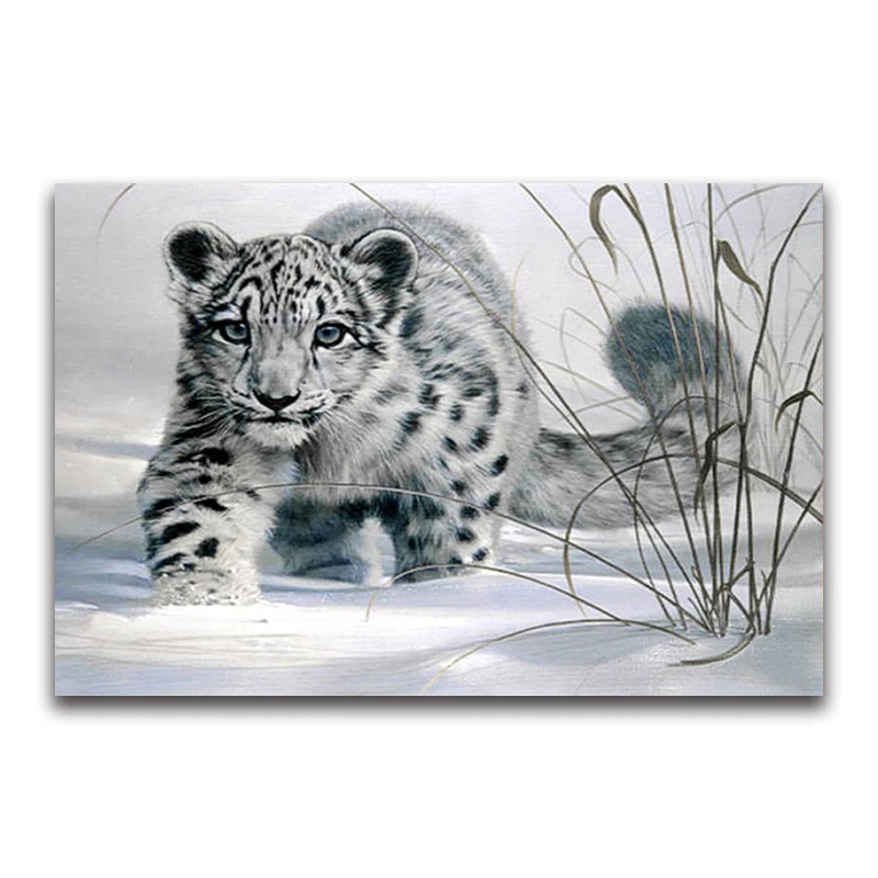 5D Diy diamond painting cross stitch kit diamond embroidery animal diamond mosaic pattern home decor snow leopard gift
