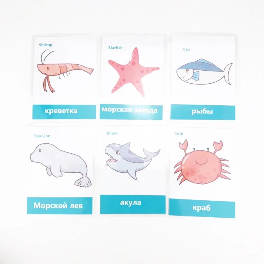 Cartões de Memória Flash para Crianças Sala de Aula Jogos de Memorie Frutas Legumes Aprendizagem Russa & Inglês Montessori Brinquedos Educativos 66 Pçs - Set 36 Home & Garden