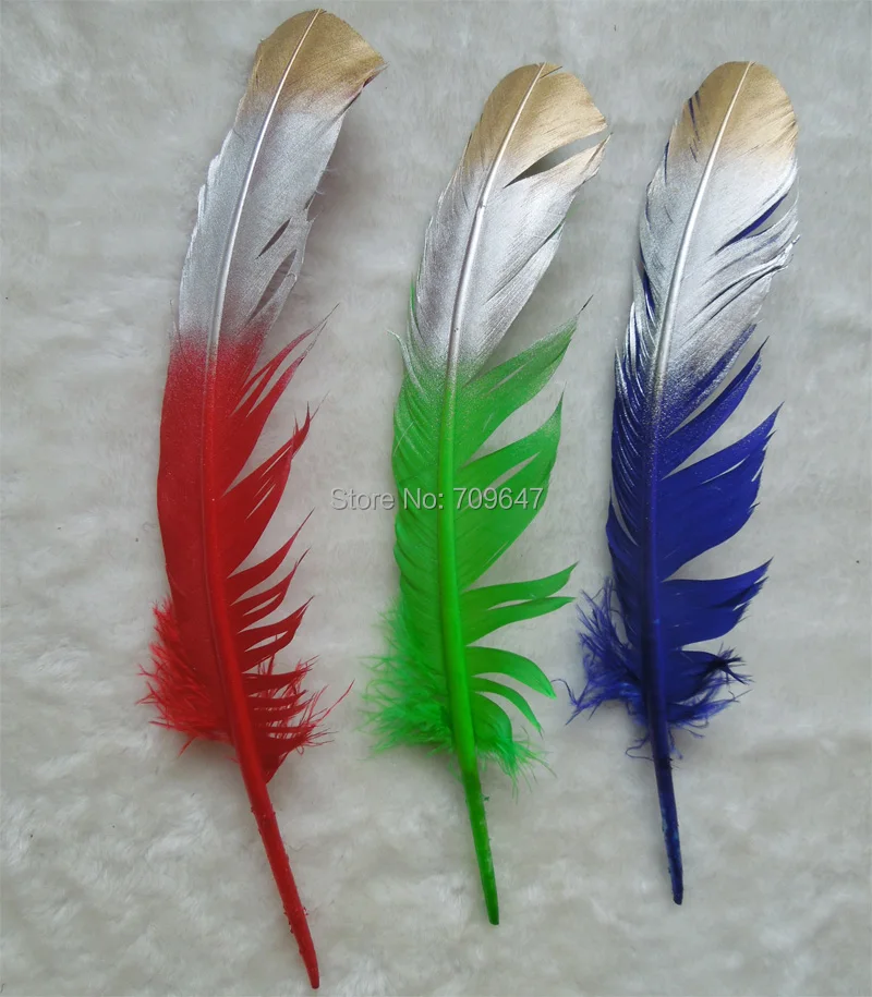 FMT0033 (8)