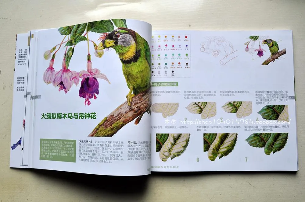 Китайский Цветной карандашный рисунок Азиатский цветок и птица Книги по искусству живопись книга