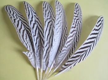 

wholesale 50pcs/lot silver pheasant feather chicken feather/peacock feather/ostrich feather for millinery /headwear 18-25cm