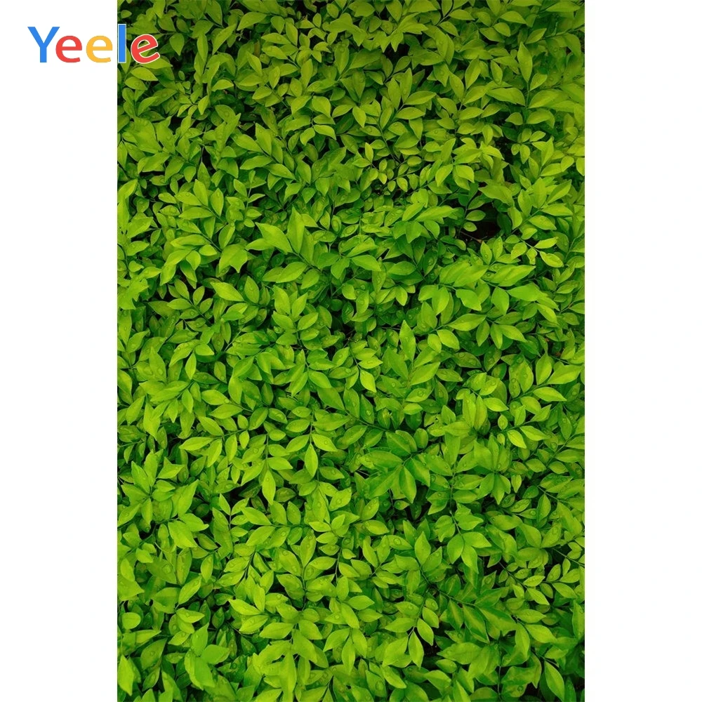 

Yeele Green Leaves Scene Portrait Commodity Show Photography Backgrounds Personalized Photographic Backdrops For Photo Studio