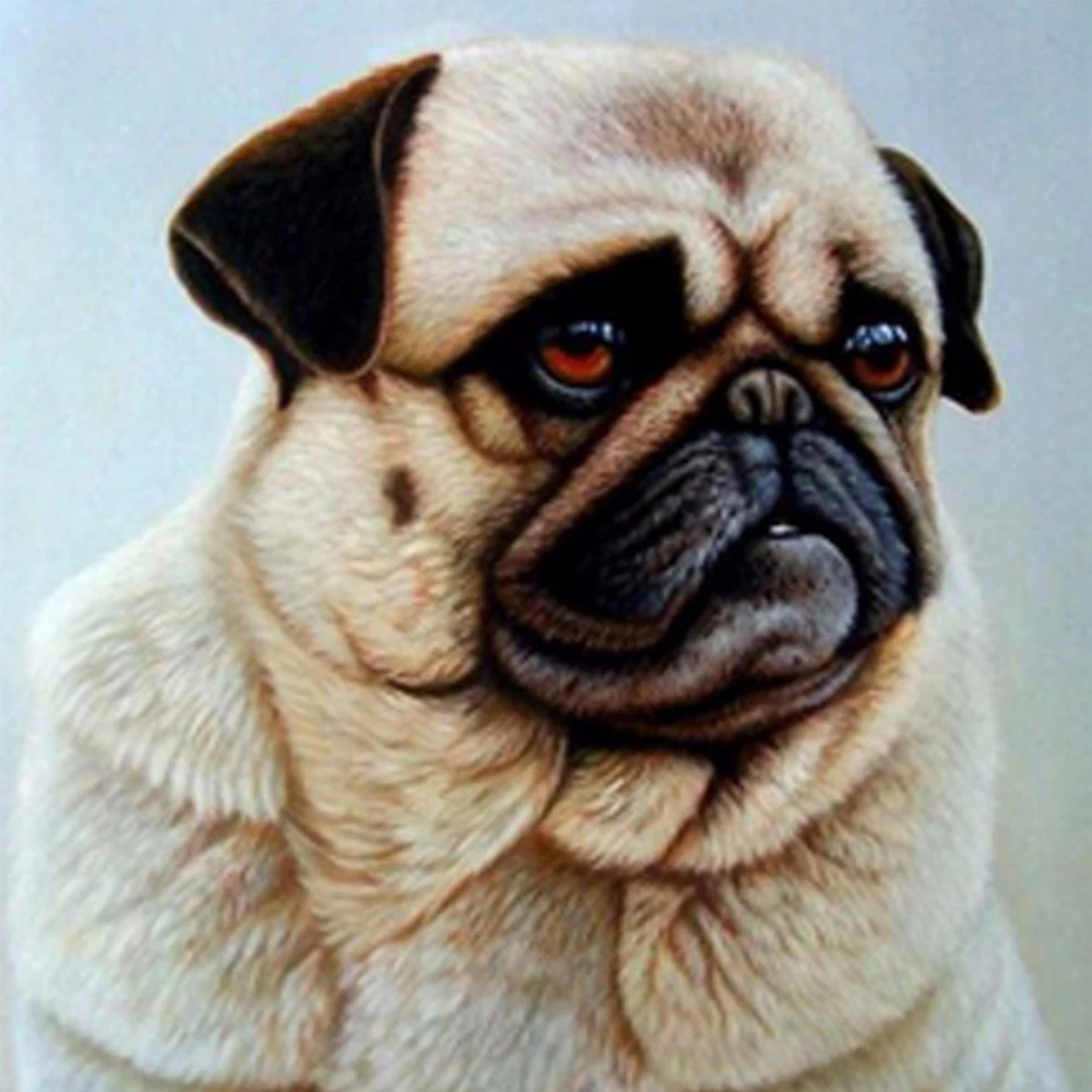 

LI LOYE Dog 5D Diamond Embroidery DIY Diamond Painting Cross Stitch kit full Mosaic crystal Craft Home Decoration gift RT344